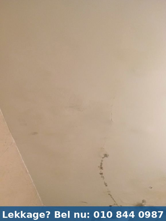 Thermografisch onderzoek ter plaatse - casus-badkamerlekkage-rotterdam-gordelweg