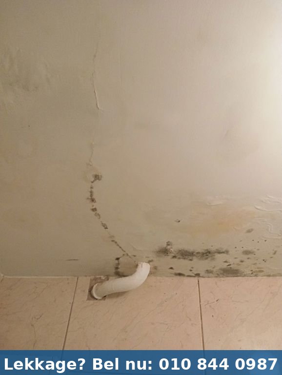Vochtmeting met professionele meters - casus-badkamerlekkage-rotterdam-gordelweg