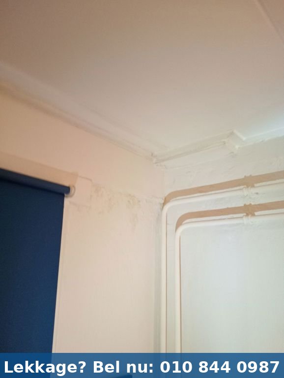 Lekdetectie onderzoek Rotterdam