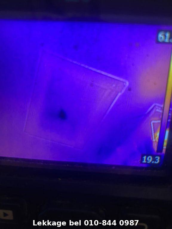 Lekdetectie foto Rotterdam