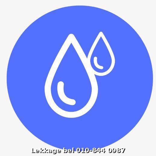 Lekdetectie foto Rotterdam