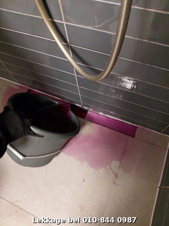 Lekdetectie foto Rotterdam