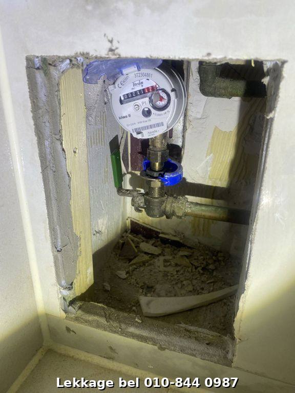 Lekdetectie foto Rotterdam