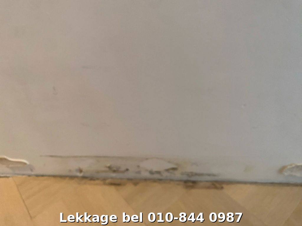 Lekdetectie foto Rotterdam