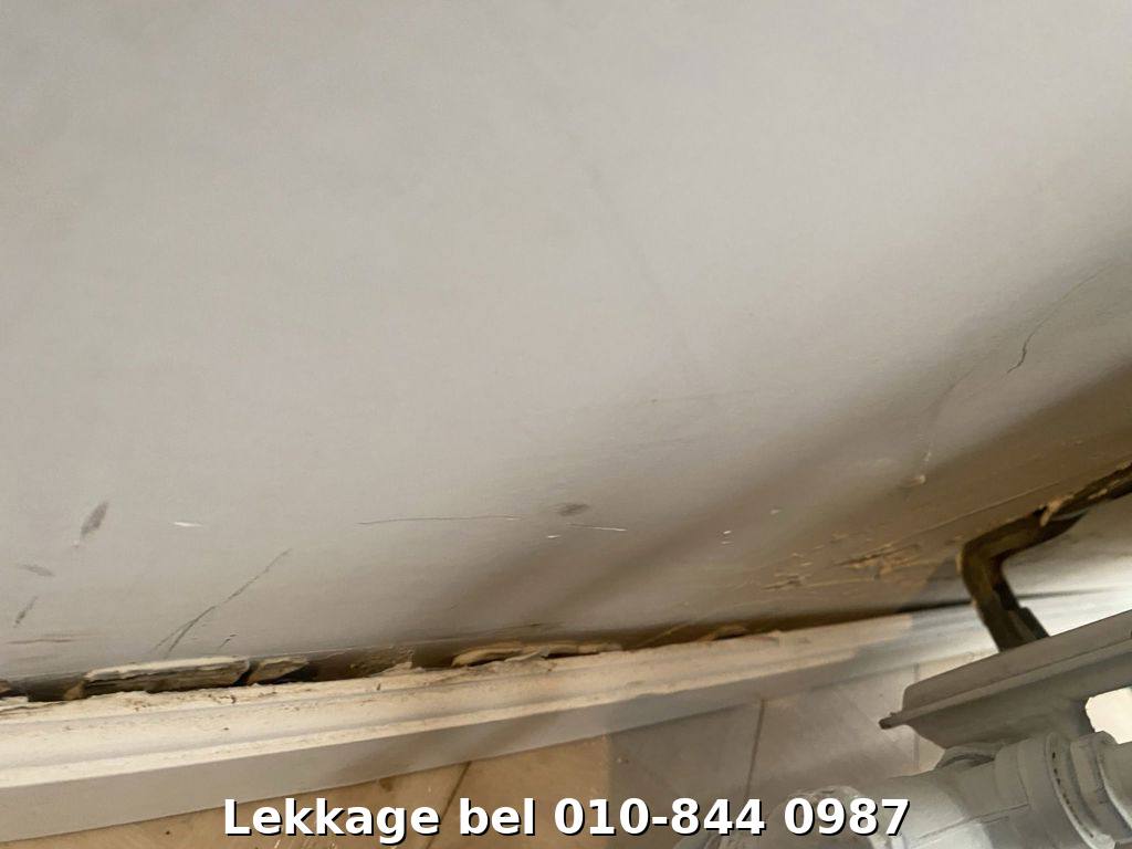 Lekdetectie foto Rotterdam