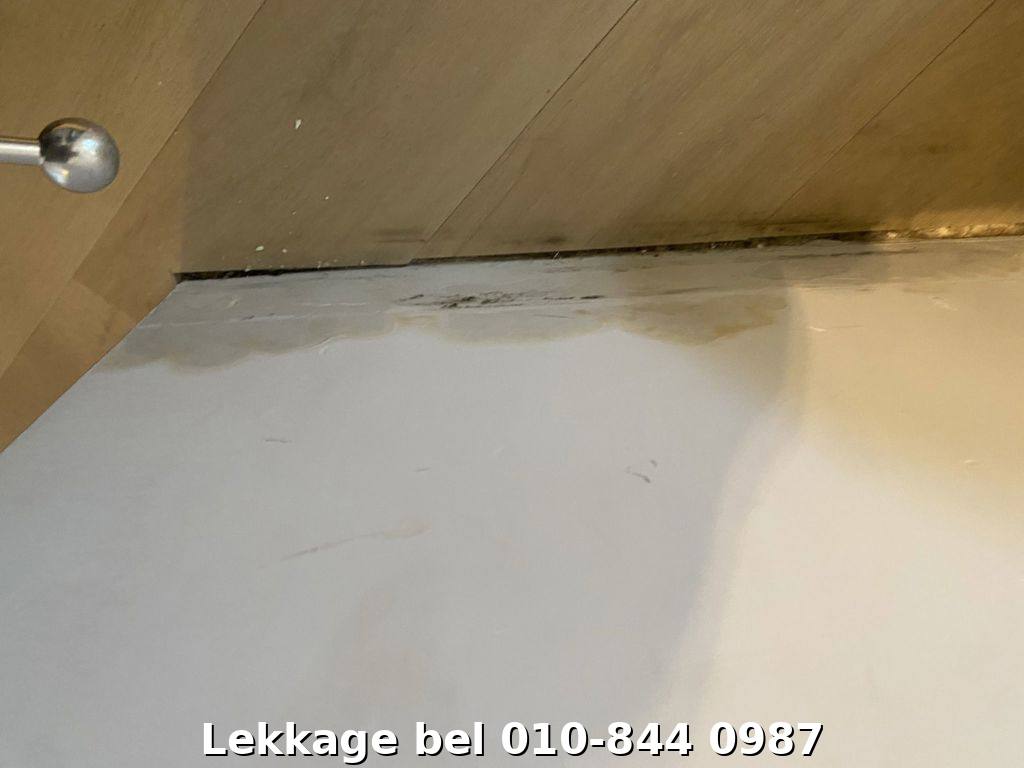 Lekdetectie foto Rotterdam