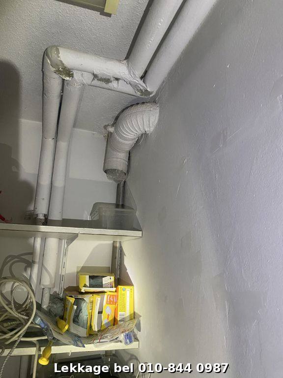 Lekdetectie foto Rotterdam