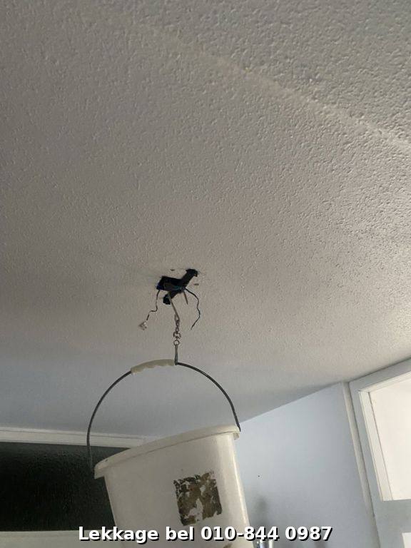 Lekdetectie foto Rotterdam