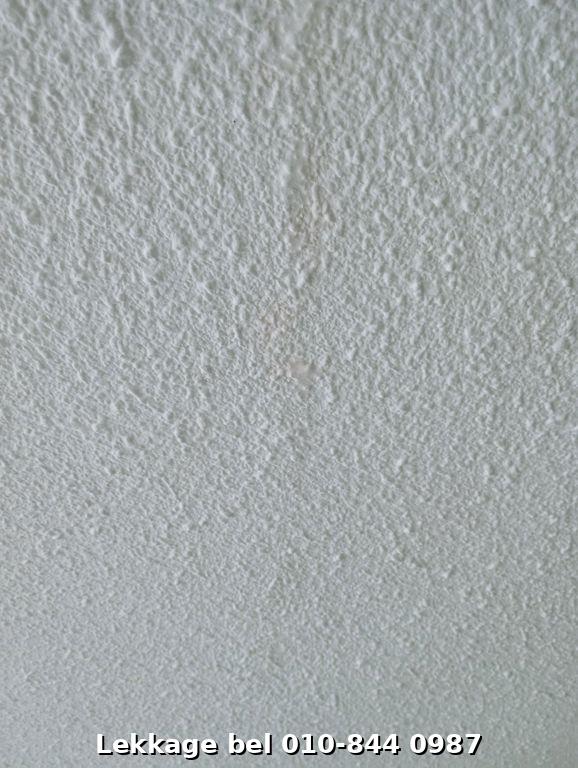 Lekdetectie foto Rotterdam