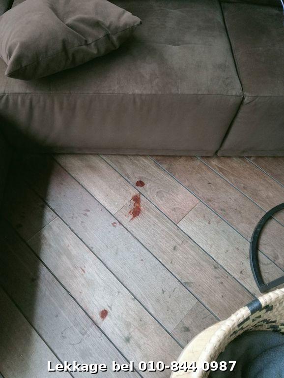 Lekdetectie foto Rotterdam