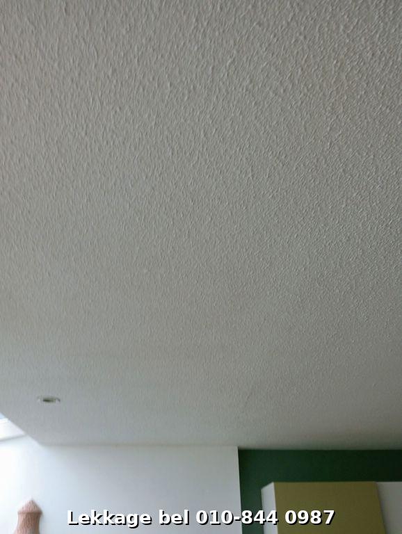 Lekdetectie foto Rotterdam