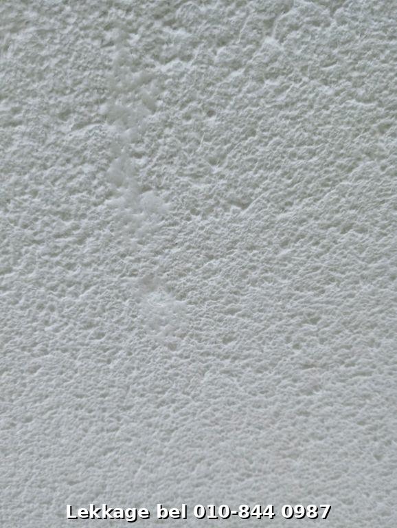 Lekdetectie foto Rotterdam