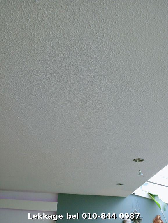 Lekdetectie foto Rotterdam