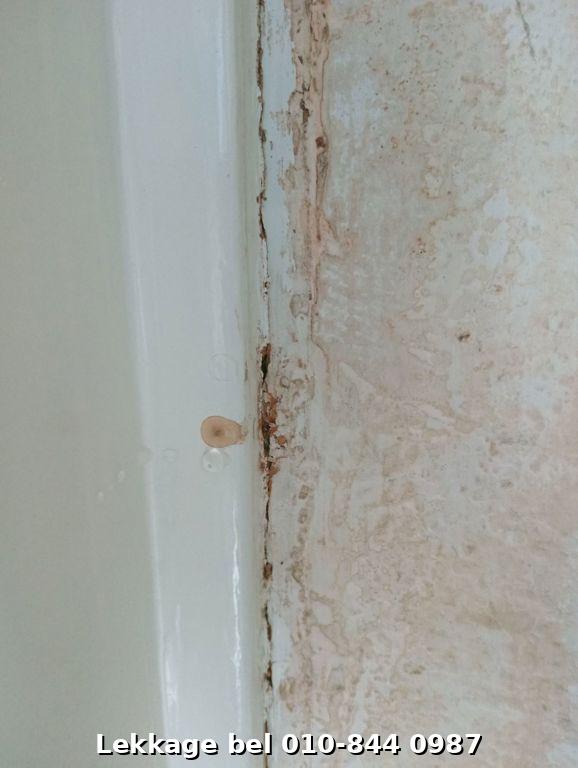 Lekdetectie foto Rotterdam